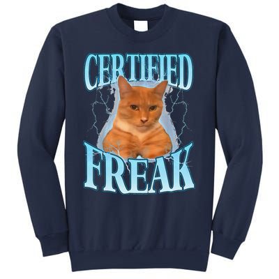 Cat Meme Certified Freak Eat Cement Cursed Cat Funny Sweatshirt