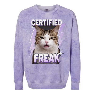 Cat Meme Certified Freak Eat Cement Cursed Cat Funny Colorblast Crewneck Sweatshirt