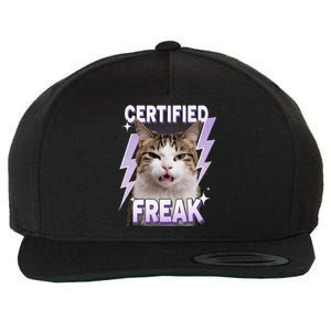 Cat Meme Certified Freak Eat Cement Cursed Cat Funny Wool Snapback Cap