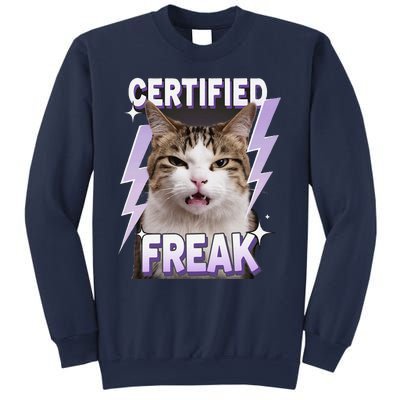 Cat Meme Certified Freak Eat Cement Cursed Cat Funny Sweatshirt