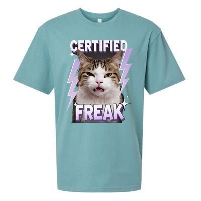 Cat Meme Certified Freak Eat Cement Cursed Cat Funny Sueded Cloud Jersey T-Shirt