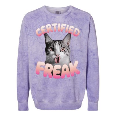 Cat Meme Certified Freak Eat Cement Cursed Cat Funny Colorblast Crewneck Sweatshirt