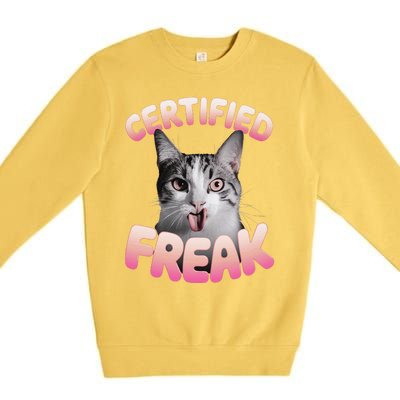 Cat Meme Certified Freak Eat Cement Cursed Cat Funny Premium Crewneck Sweatshirt