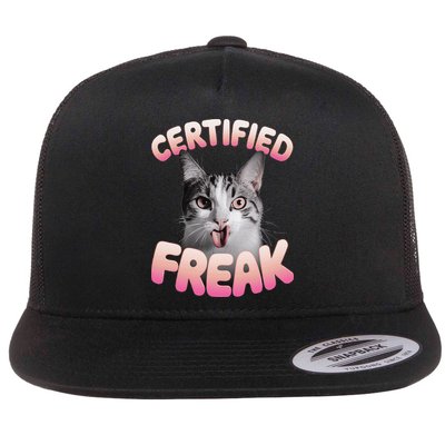 Cat Meme Certified Freak Eat Cement Cursed Cat Funny Flat Bill Trucker Hat