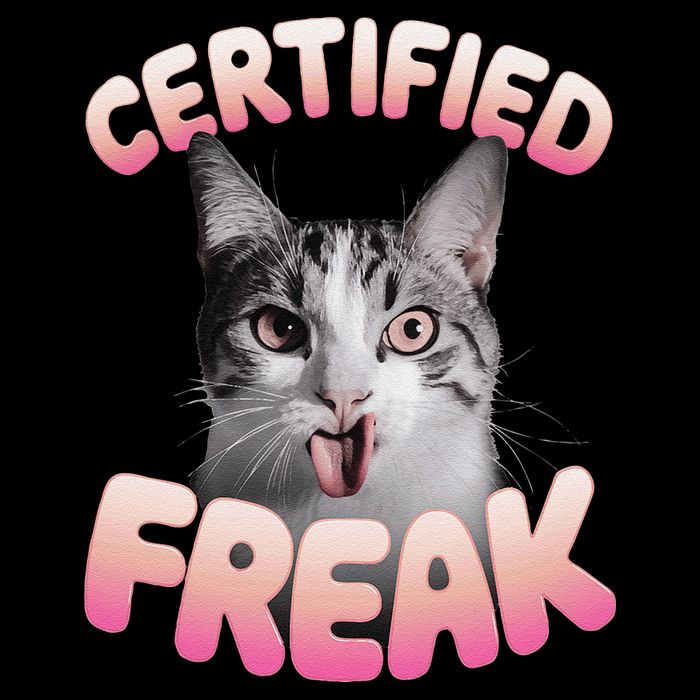 Cat Meme Certified Freak Eat Cement Cursed Cat Funny 16 in Basic Backpack