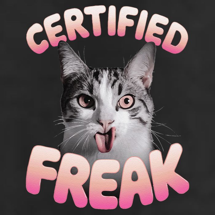 Cat Meme Certified Freak Eat Cement Cursed Cat Funny 25L Jumbo Tote