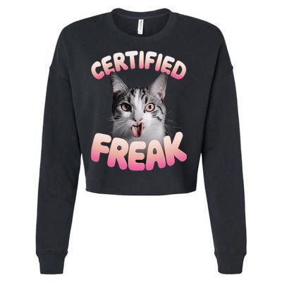 Cat Meme Certified Freak Eat Cement Cursed Cat Funny Cropped Pullover Crew