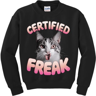 Cat Meme Certified Freak Eat Cement Cursed Cat Funny Kids Sweatshirt