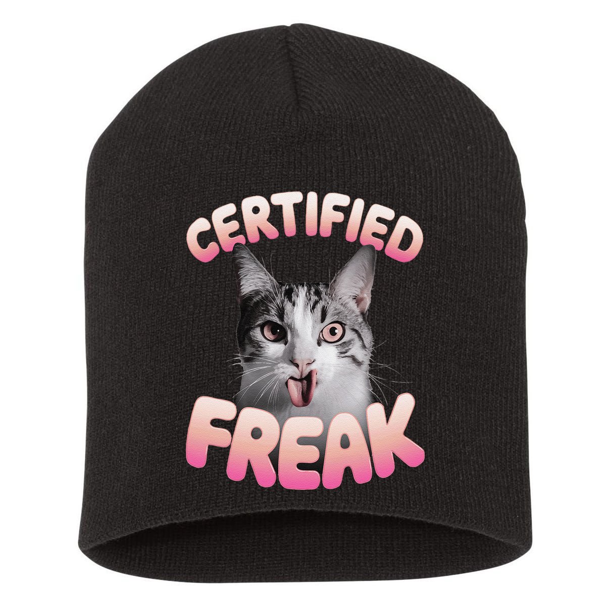 Cat Meme Certified Freak Eat Cement Cursed Cat Funny Short Acrylic Beanie