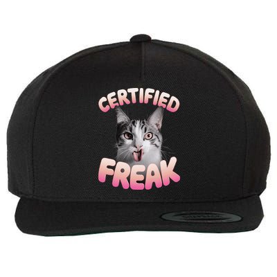 Cat Meme Certified Freak Eat Cement Cursed Cat Funny Wool Snapback Cap