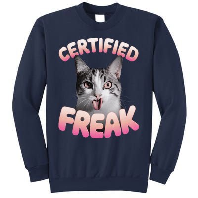 Cat Meme Certified Freak Eat Cement Cursed Cat Funny Sweatshirt