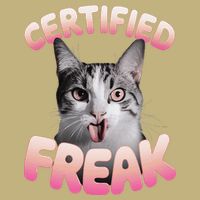 Cat Meme Certified Freak Eat Cement Cursed Cat Funny Cooling Performance Crew T-Shirt