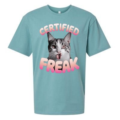 Cat Meme Certified Freak Eat Cement Cursed Cat Funny Sueded Cloud Jersey T-Shirt