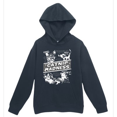 Catnip Madness Cute Kitten Urban Pullover Hoodie