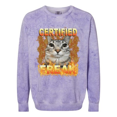 Cat Meme Certified Freak Eat Cement Cursed Cat Funny Colorblast Crewneck Sweatshirt