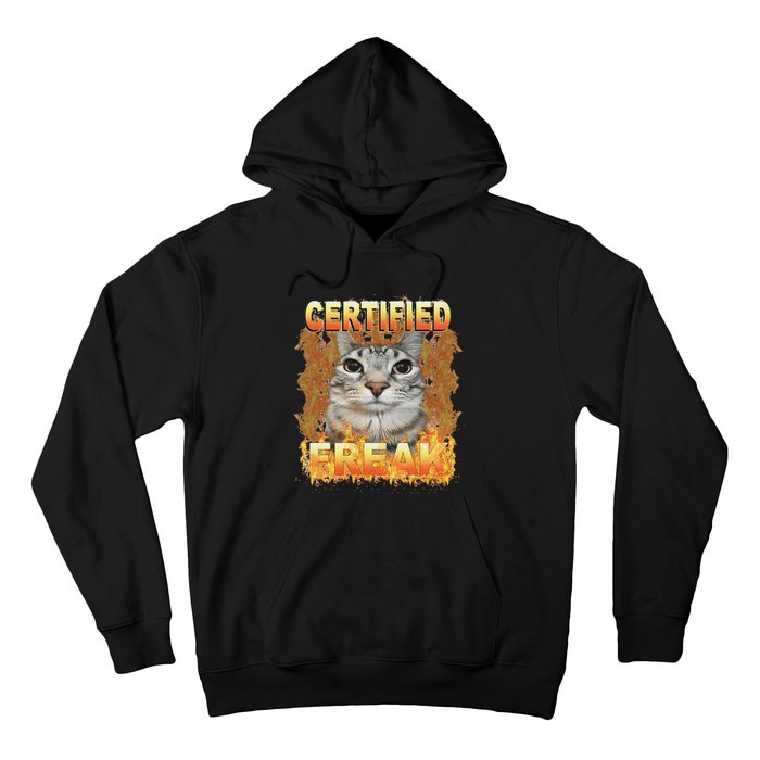 Cat Meme Certified Freak Eat Cement Cursed Cat Funny Hoodie