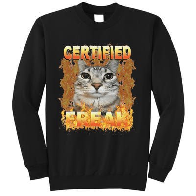 Cat Meme Certified Freak Eat Cement Cursed Cat Funny Sweatshirt