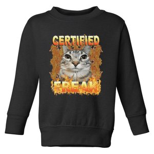 Cat Meme Certified Freak Eat Cement Cursed Cat Funny Toddler Sweatshirt