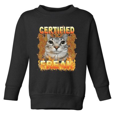 Cat Meme Certified Freak Eat Cement Cursed Cat Funny Toddler Sweatshirt