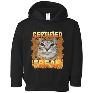 Cat Meme Certified Freak Eat Cement Cursed Cat Funny Toddler Hoodie