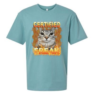 Cat Meme Certified Freak Eat Cement Cursed Cat Funny Sueded Cloud Jersey T-Shirt