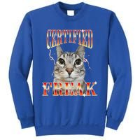 Cat Meme Certified Freak Eat Cement Cursed Cat Sweatshirt