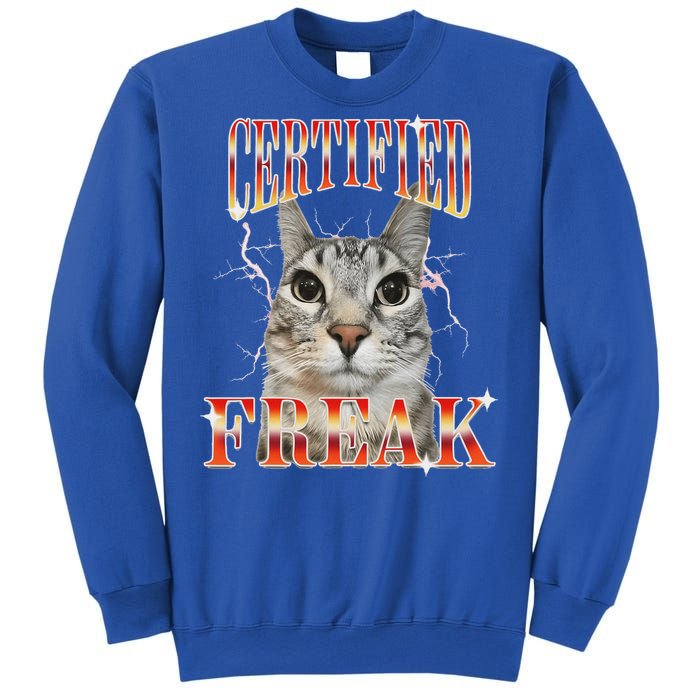 Cat Meme Certified Freak Eat Cement Cursed Cat Sweatshirt