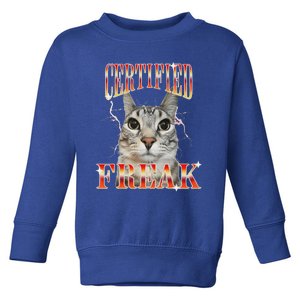 Cat Meme Certified Freak Eat Cement Cursed Cat Toddler Sweatshirt