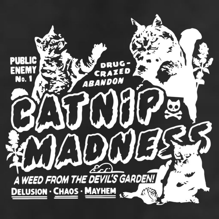 Catnip Madness Knit Cap Winter Beanie