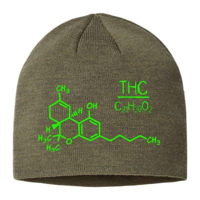 Cannabis Molecule Sustainable Beanie