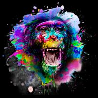 Colorful Monkey Backpack