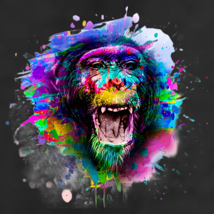 Colorful Monkey Trucker Hat