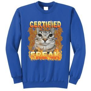 Cat Meme Certified Freak Eat Cement Cursed Cat Sweatshirt