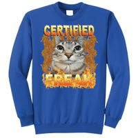 Cat Meme Certified Freak Eat Cement Cursed Cat Sweatshirt