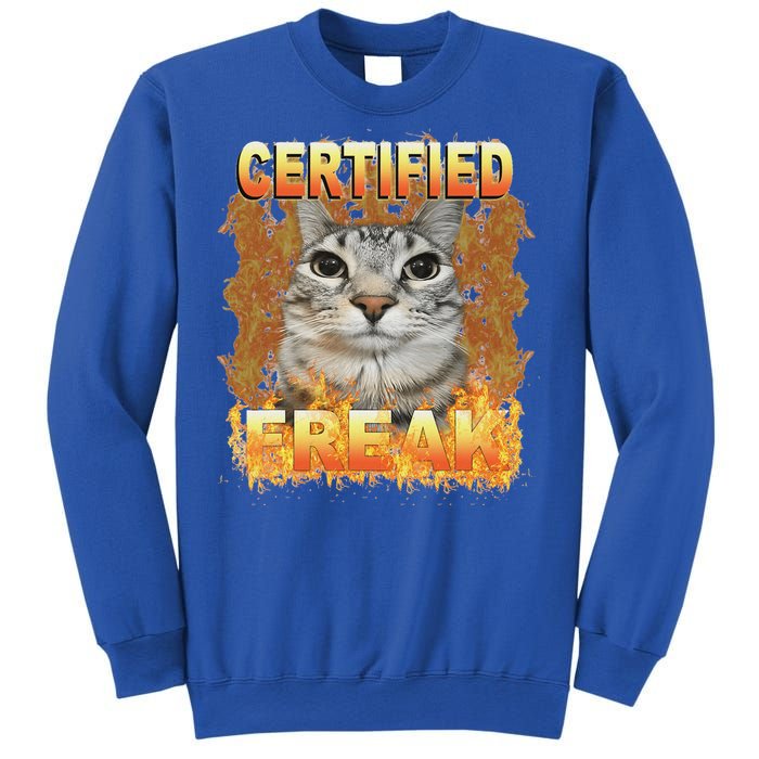 Cat Meme Certified Freak Eat Cement Cursed Cat Sweatshirt