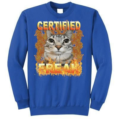 Cat Meme Certified Freak Eat Cement Cursed Cat Tall Sweatshirt