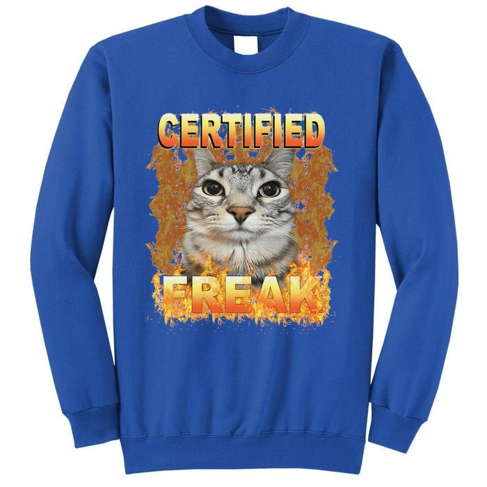 Cat Meme Certified Freak Eat Cement Cursed Cat Tall Sweatshirt