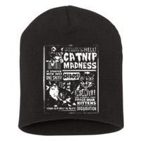 Catnip Madness Cute Kitten Cat Lover Gift For Cat Owners Short Acrylic Beanie