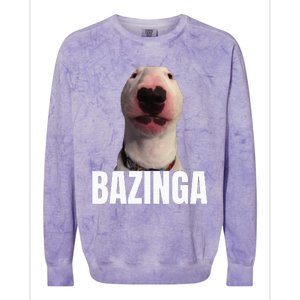 Cringe Meme Dog Genz Trendy Teenager Slang Colorblast Crewneck Sweatshirt