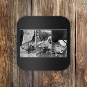 Cute Moo Deng Baby Hippo Zoo Baby Hippo Gift Coaster