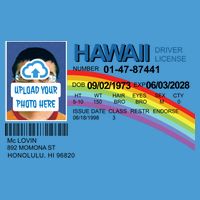 Custom Mclovin Driver License Upload Photo Tie Dye Hoodie