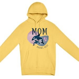 Cute Mothers Day Design Mom Knows Best Premium Pullover Hoodie