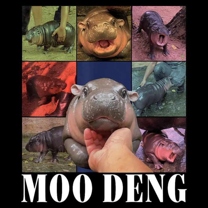Colorful Moo Deng Retro Photo Hippo Flexfit Unipanel Trucker Cap