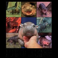 Colorful Moo Deng Retro Photo Hippo Mug