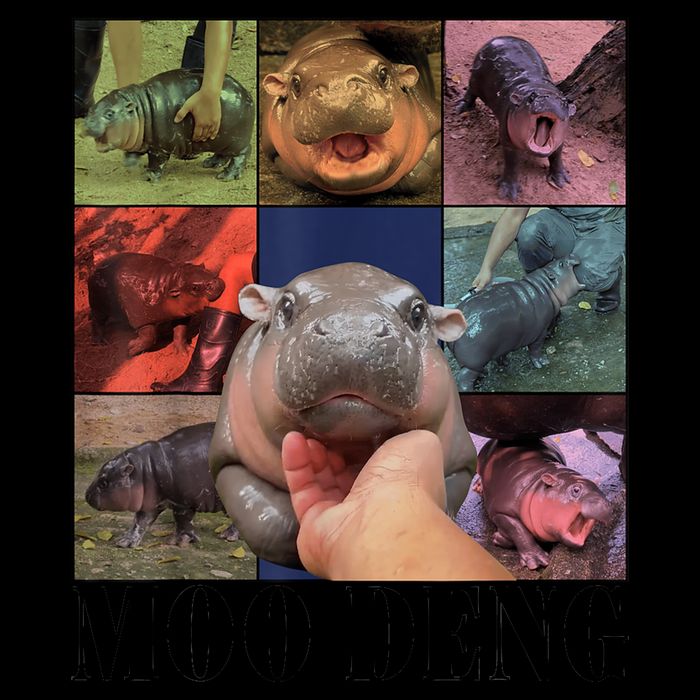 Colorful Moo Deng Retro Photo Hippo Mug