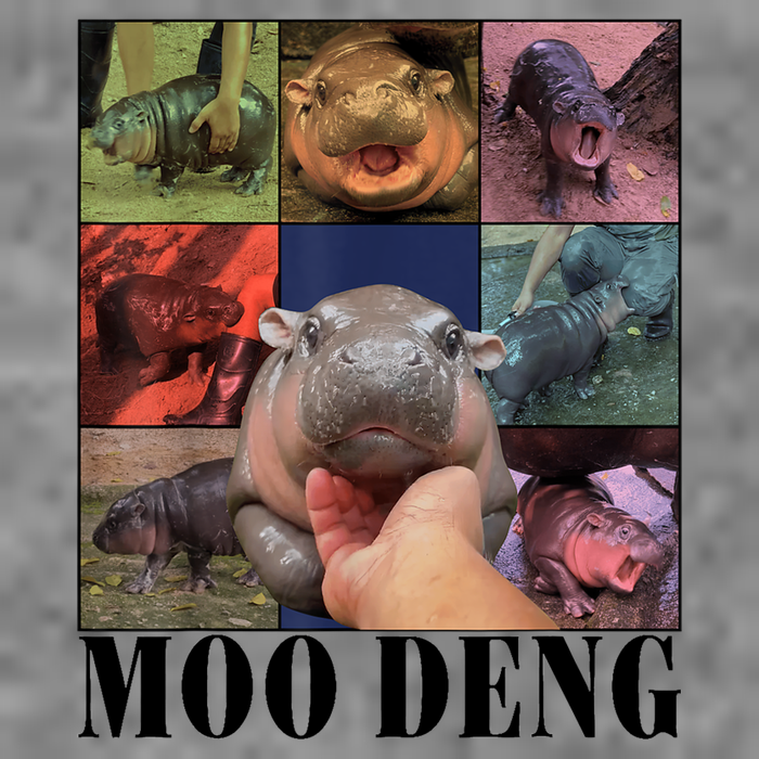 Colorful Moo Deng Retro Photo Hippo Hoodie