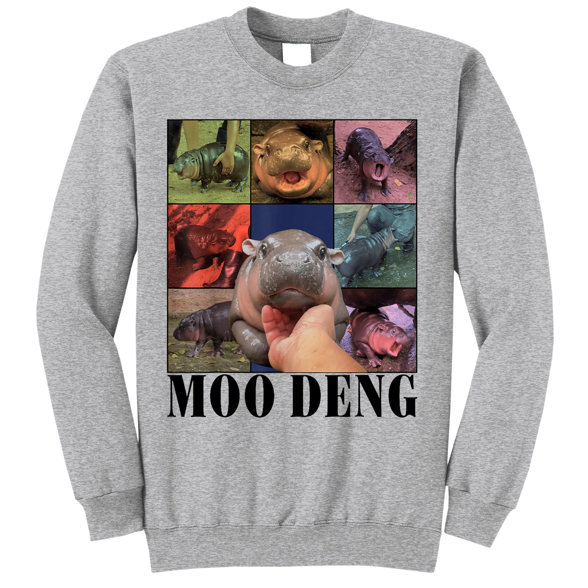 Colorful Moo Deng Retro Photo Hippo Sweatshirt