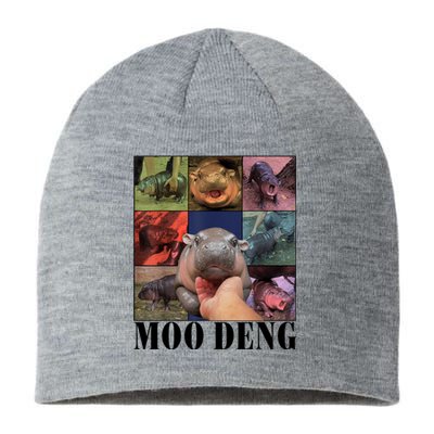 Colorful Moo Deng Retro Photo Hippo Sustainable Beanie