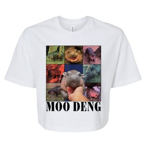 Colorful Moo Deng Retro Photo Hippo Bella+Canvas Jersey Crop Tee