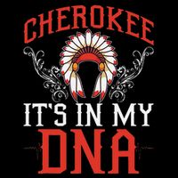 Cherokee My Dna Native Americans Design Pom Pom 12in Knit Beanie